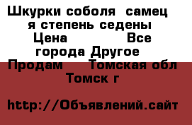 Шкурки соболя (самец) 1-я степень седены › Цена ­ 12 000 - Все города Другое » Продам   . Томская обл.,Томск г.